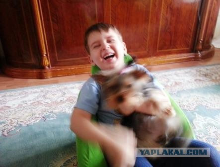 Собака, ты все перепутала…