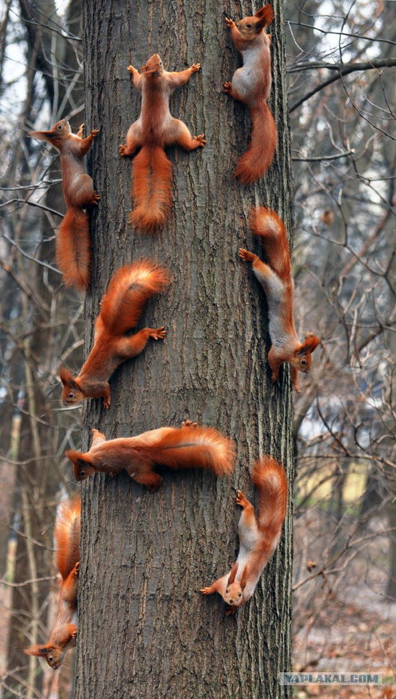 А когда отпустит?