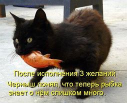 Веселые картинки? а так же комментарии)