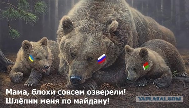 Украинские приколы.