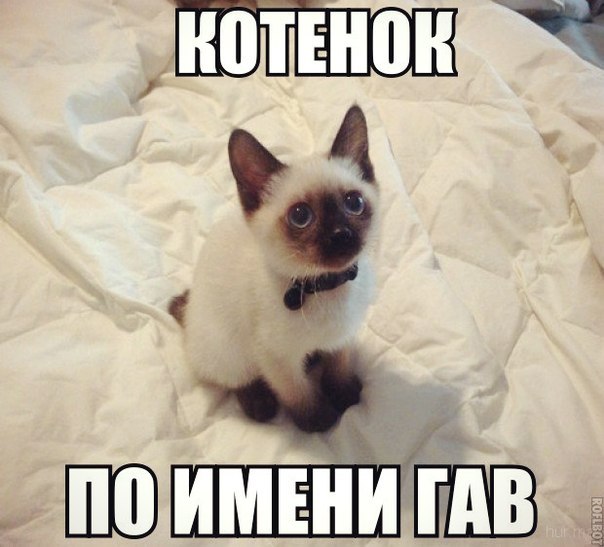 Веселые картинки № х/з