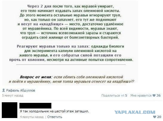 Комментарии и картинки из соц. сетей