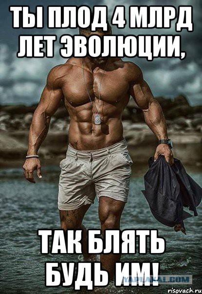 Они захотели и смогли