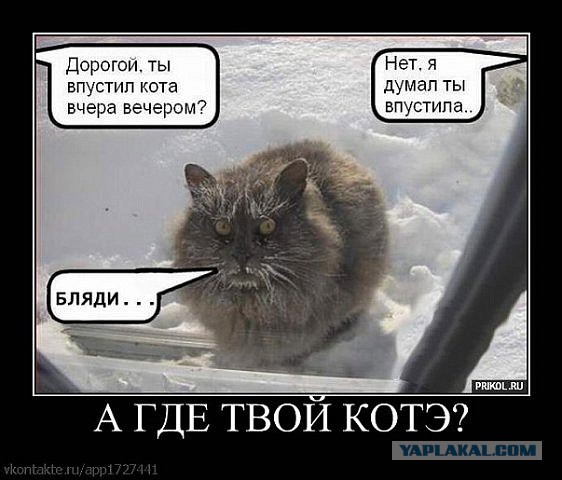 Весёлые картинки