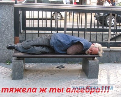 Привёл бомжа на урок!