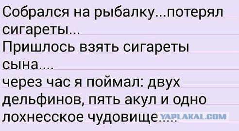 Комментарии из соцсетей на воскресенье