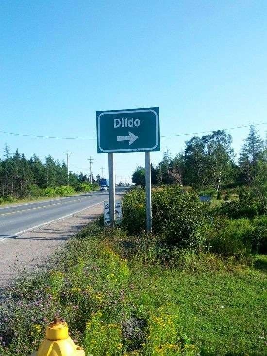 Весёлое из сети