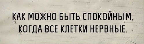 Весёлое из сети
