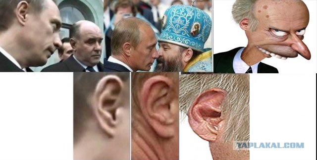Кого из них мы выбрали?
