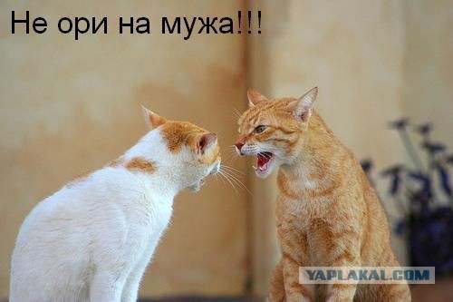 Весовая категория имеет значение