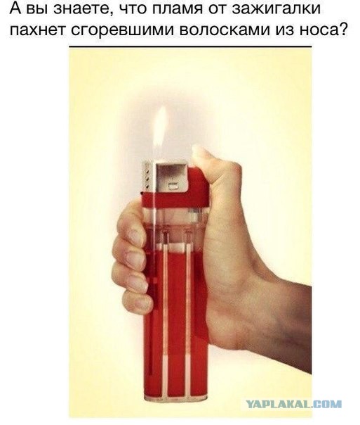 Забавные картинки из сети