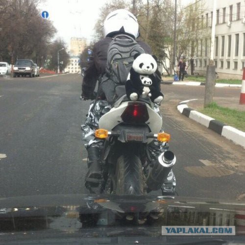 Автоприколы
