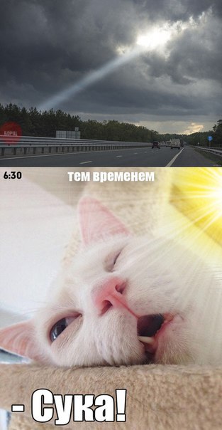 21 гримаса тех, кто не любит рано вставать по утра