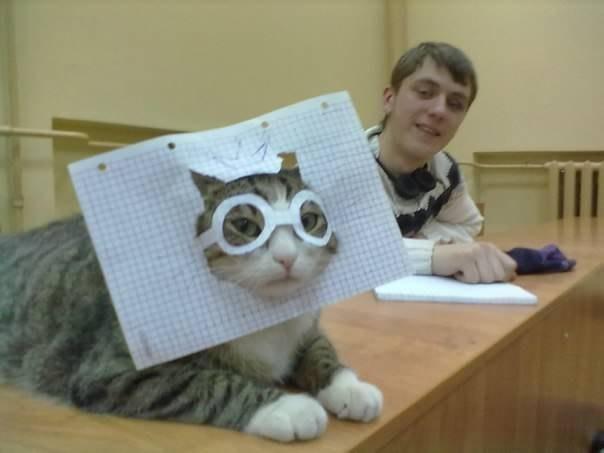 Картинки на пятницу