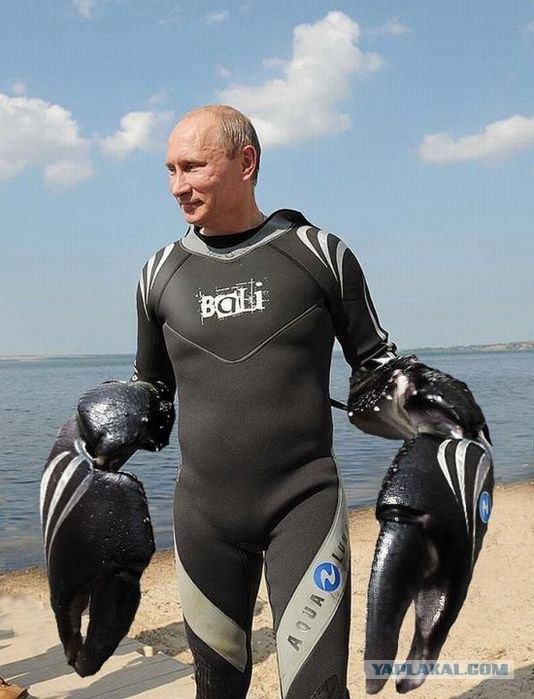 Путин с клювом в халате возглавил журавлиный клин