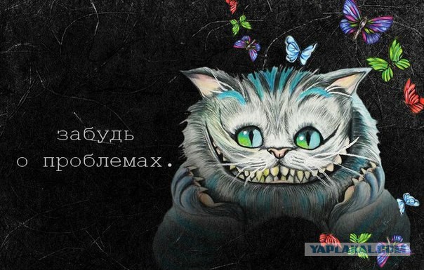 Забавные картинки из Сети