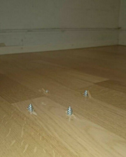 Смешные картинки с надписями