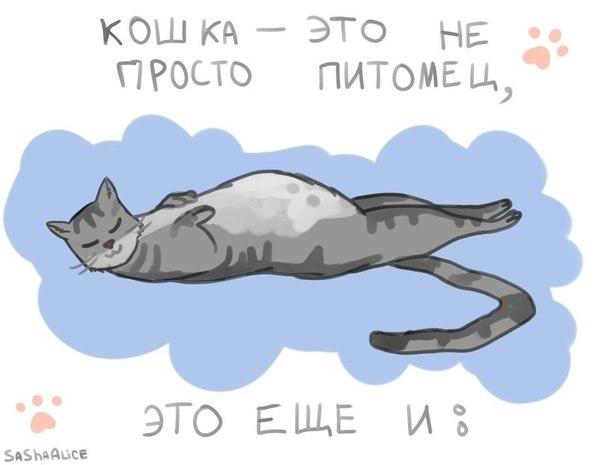 Подборка веселых картинок на выходные