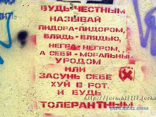 Жительница Кургана осуждена за экстремистское селфи