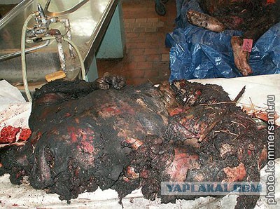 Как убрали Басаева