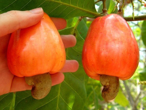 Интересные и веселые картинки