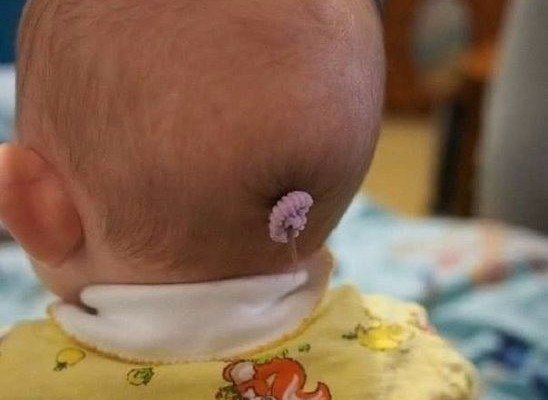 Интересные и веселые картинки