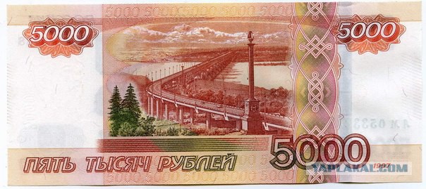 Живодерки из Хабаровска