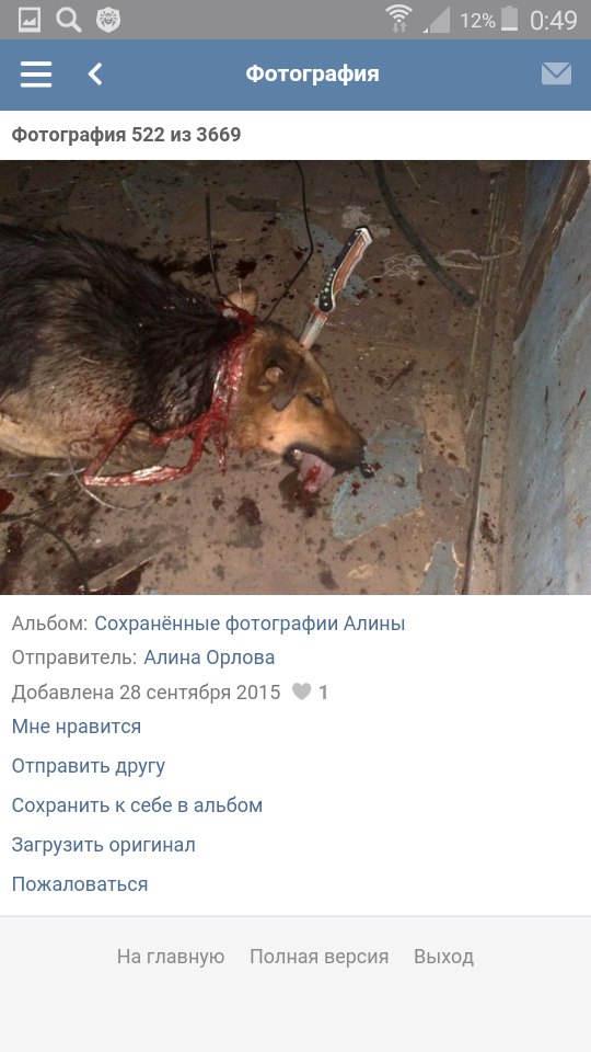 Живодерки из Хабаровска