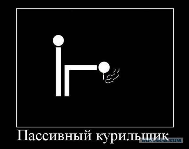 Смешные картинки из сети