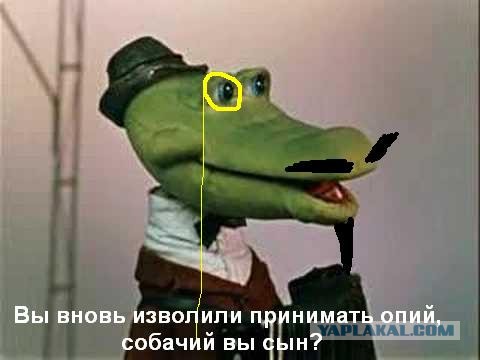 Обколются своей марихуаной