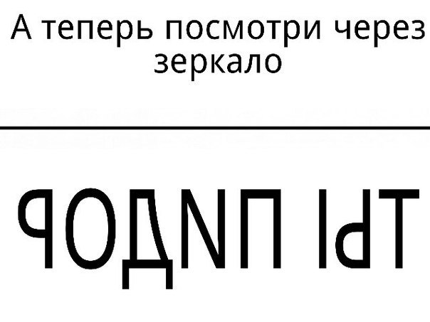 Порция абсурдного юмора на следующую неделю