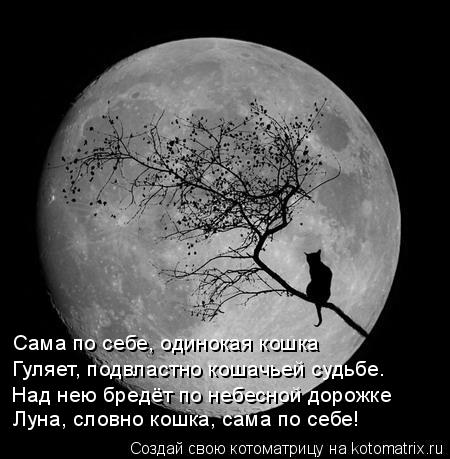 Никто больше не решается высаживаться на Луну
