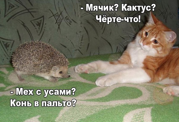 Всяко-разно из сети.Часть 4.