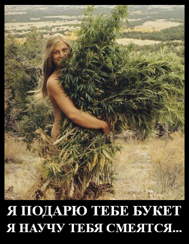 Странности & баяны