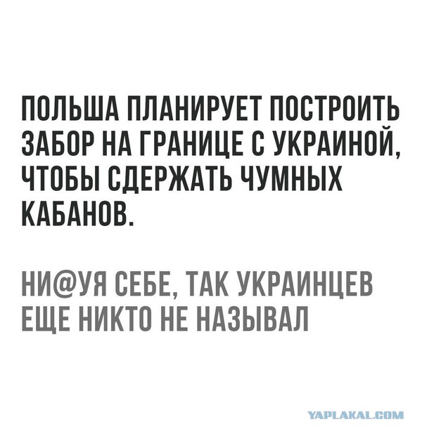 Под Львовом 91-летний мужчина умер на митинге