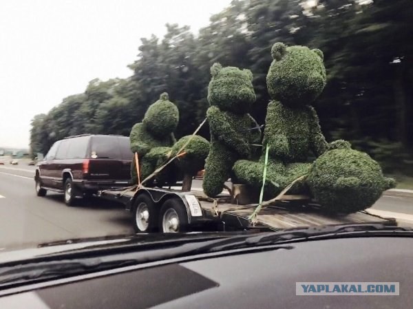 Мизатропируй правильно!