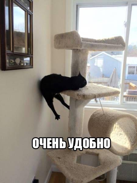 134 картинки для поднятия настроения!