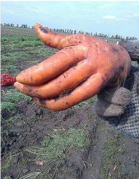 Картинки всякие разные