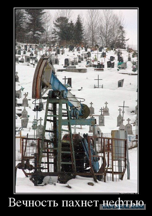 Картинки для поднятия настроения в понедельник