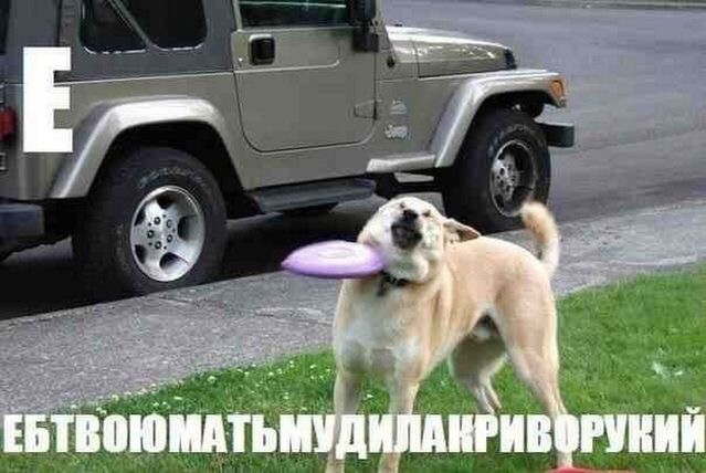 Нестандартный юмор
