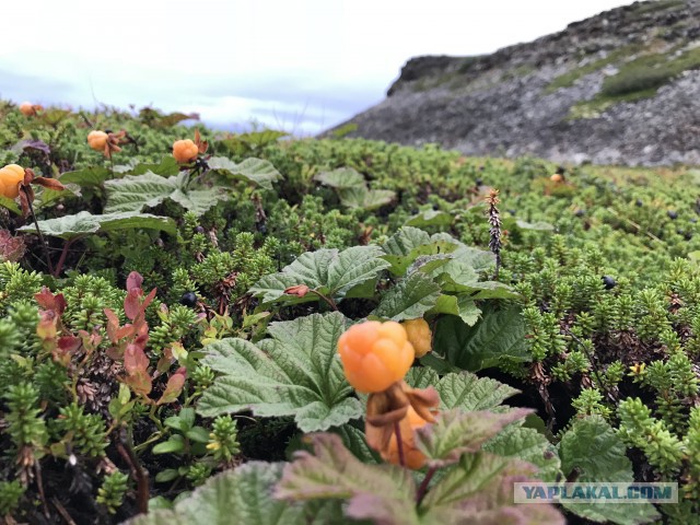 На море в шерстяных носках