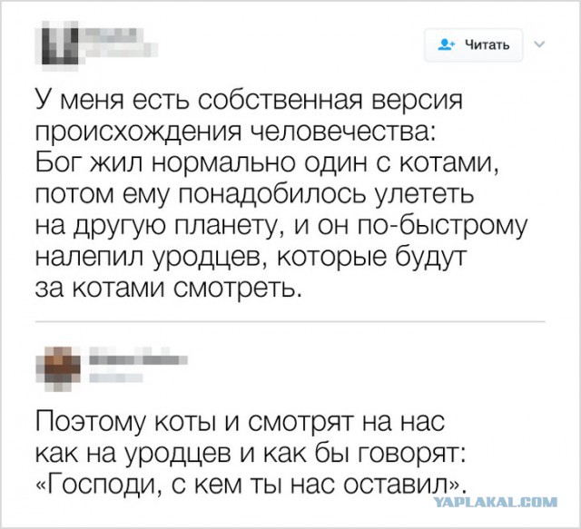 Кто, когда и зачем приручил первую кошку?