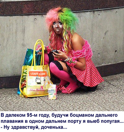 Чернушка