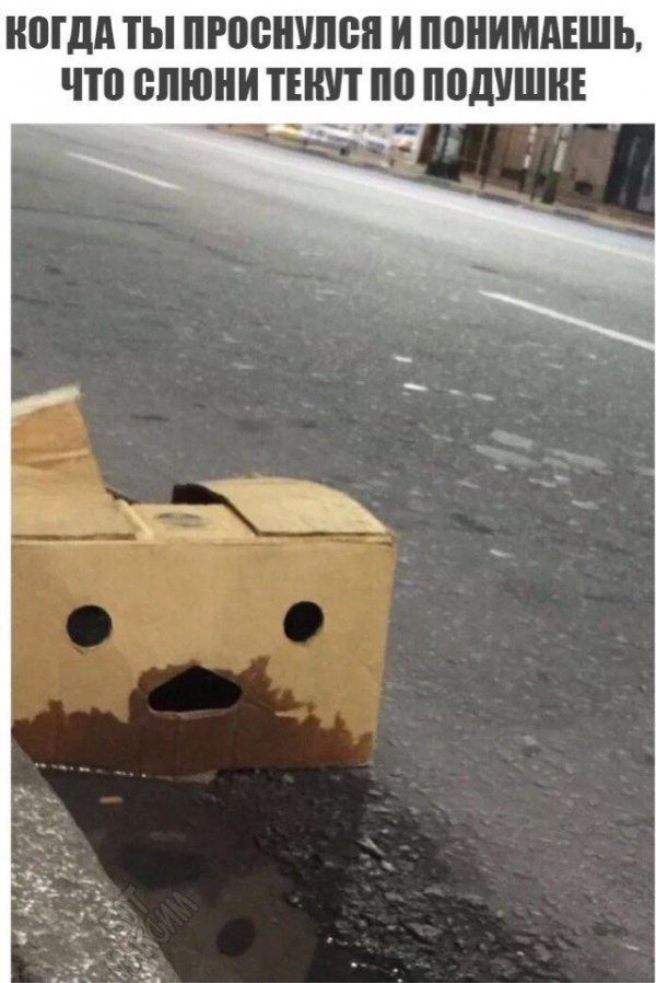 Нестандартного юмора вам в ленту