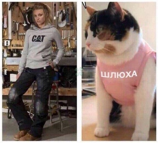 Нестандартного юмора вам в ленту