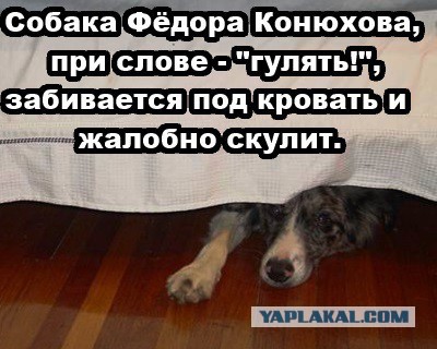 Откуда Конюхов берет деньги на свои путешествия
