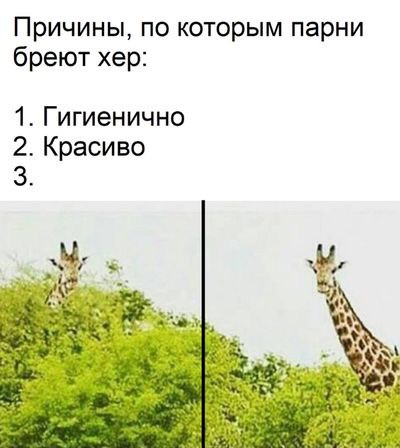 Почему с возрастом размер мужского достоинства уменьшается?