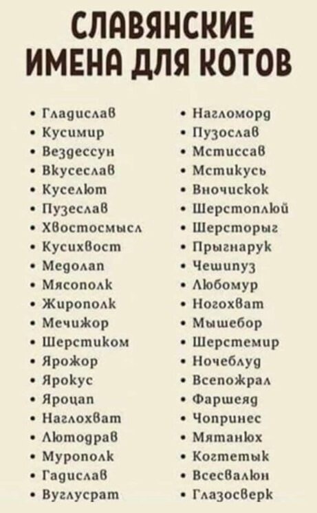 Забавные шутки, картинки и фразы из этих ваших интернетов