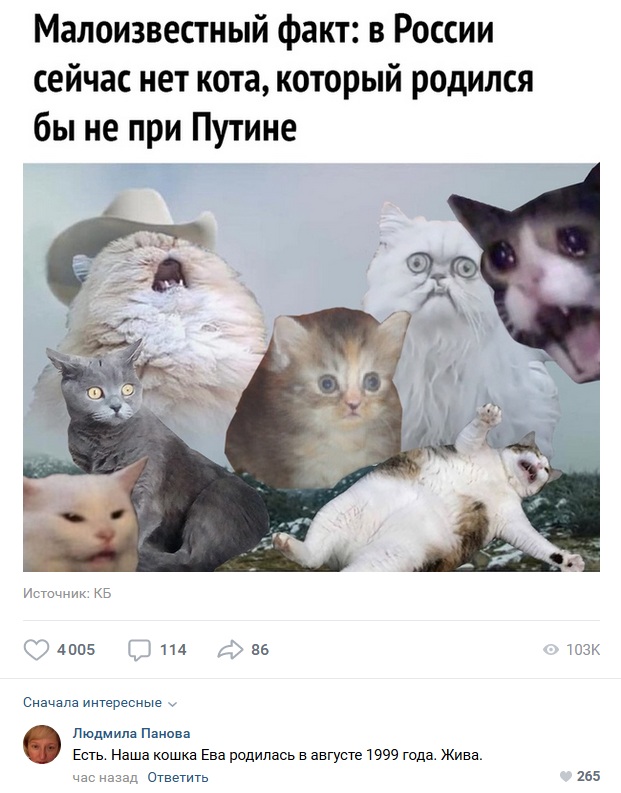 Комментарии к постам в разных группах, которые вызвали улыбку