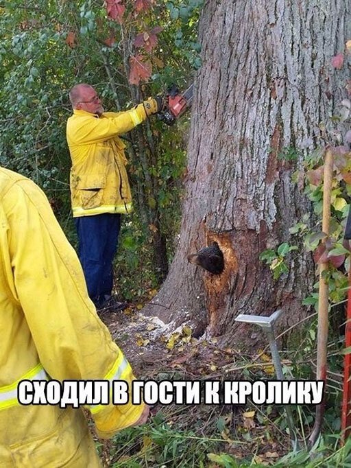 Пара-пара-пам! Фьють. Картинки с надписями 24.02.20